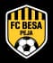 Stema e Besa